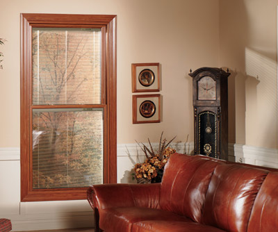 Double Hung WIndow 1